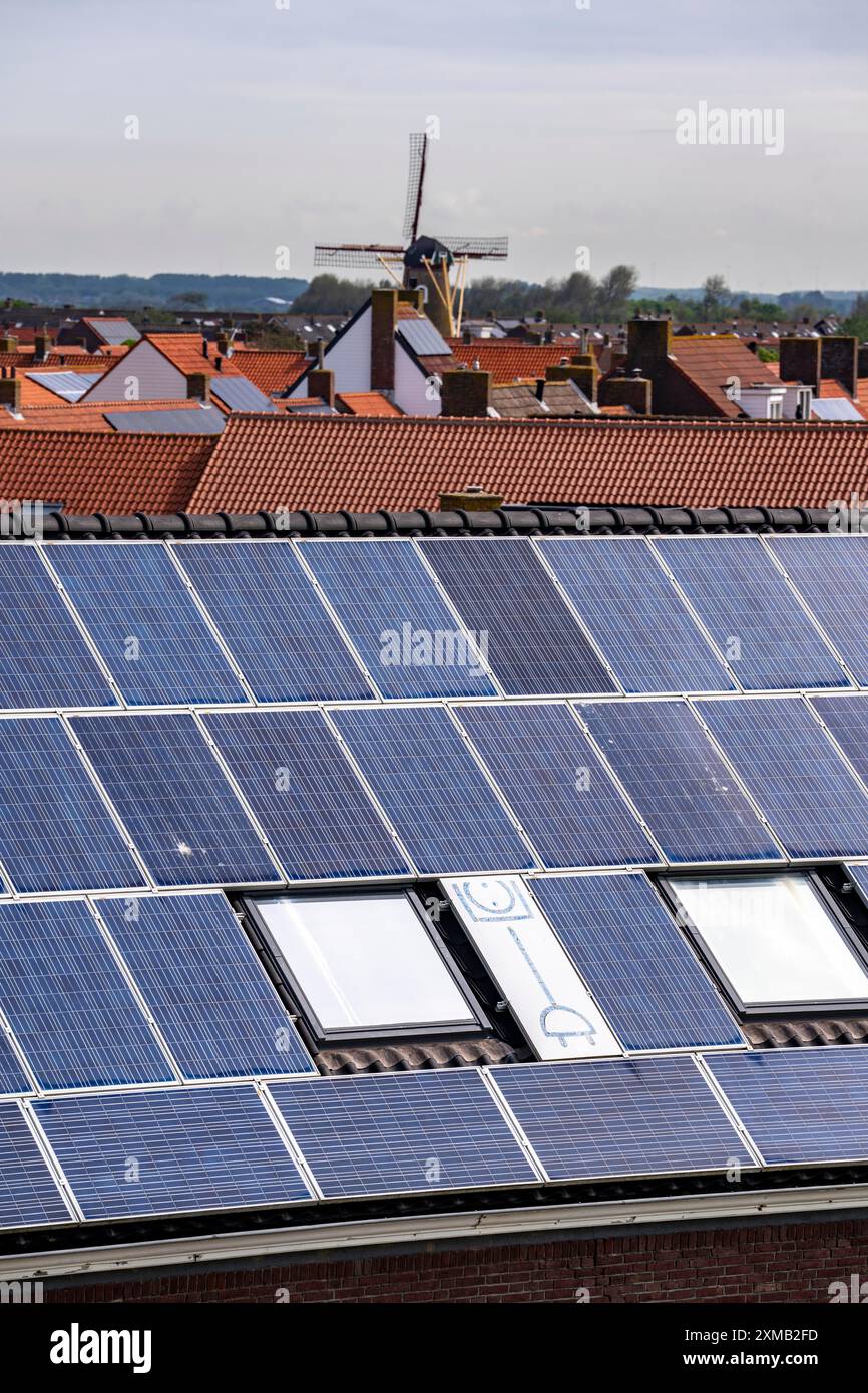 Moduli solari sui tetti, sul tetto di un edificio sulla diga, costa del Mare del Nord, in Zelanda, Westkapelle, Paesi Bassi Foto Stock