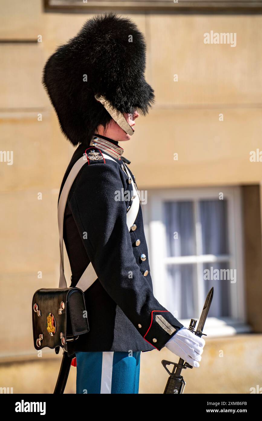 Palazzo di Amalienborg, guardie reali, Guardia, Copenaghen, Danimarca Foto Stock