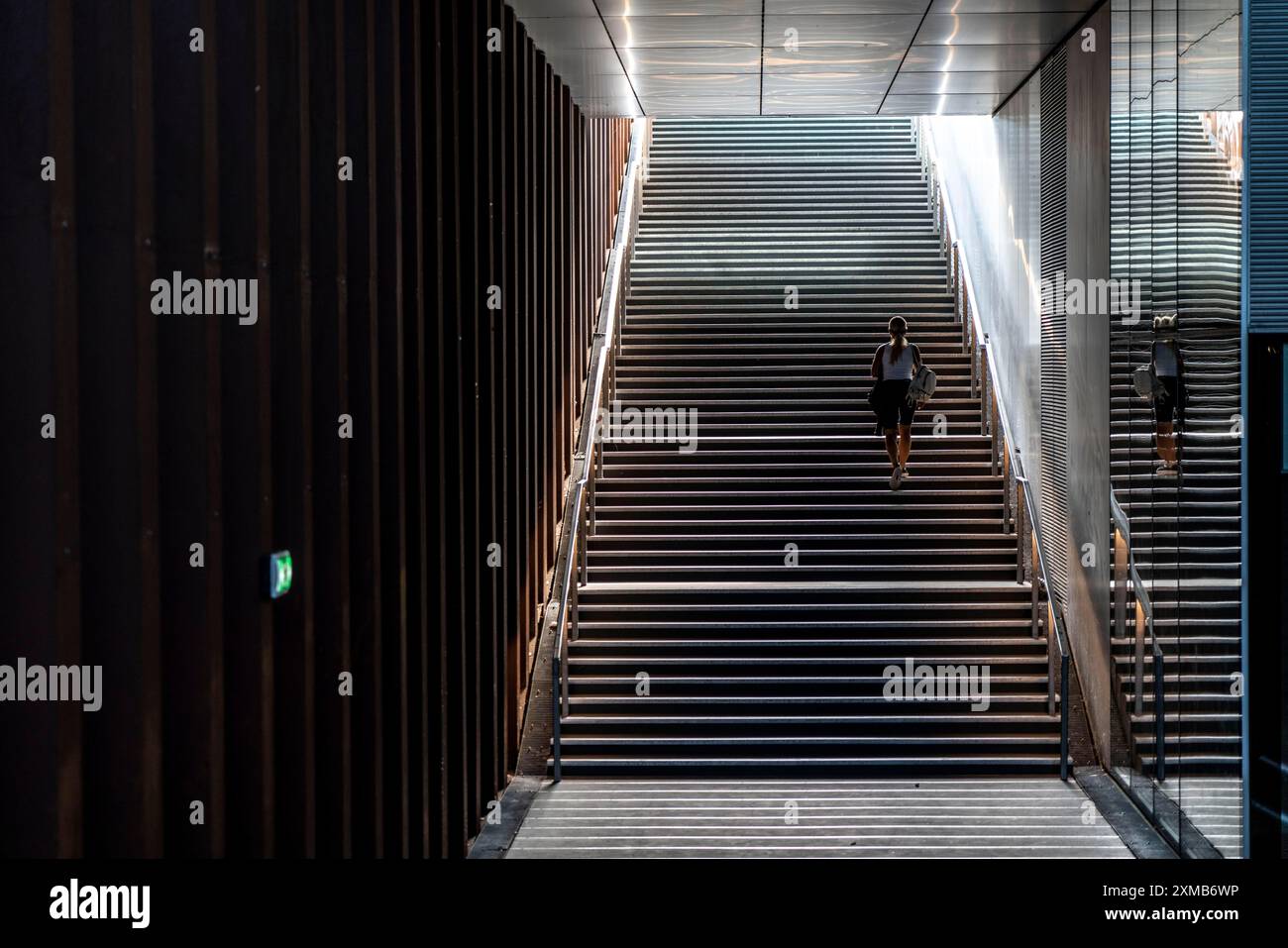 Accesso, ingresso, al Danish Architecture Centre, Dansk Arkitektur Center, DAC, Copenhagen, Danimarca Foto Stock