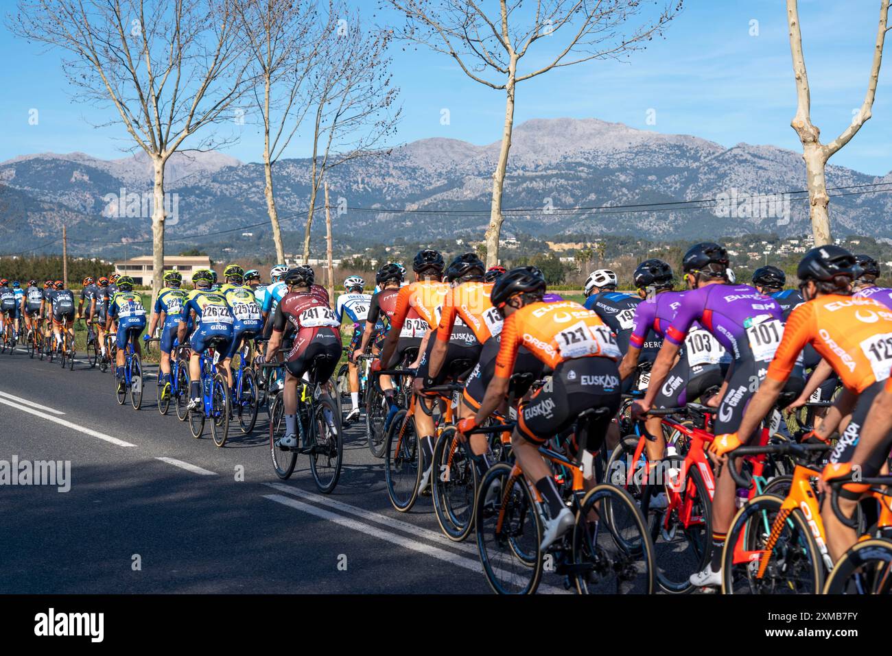 Gara ciclistica sul ma-3440, vicino a Inca, Maiorca, Isole Baleari, Spagna Foto Stock