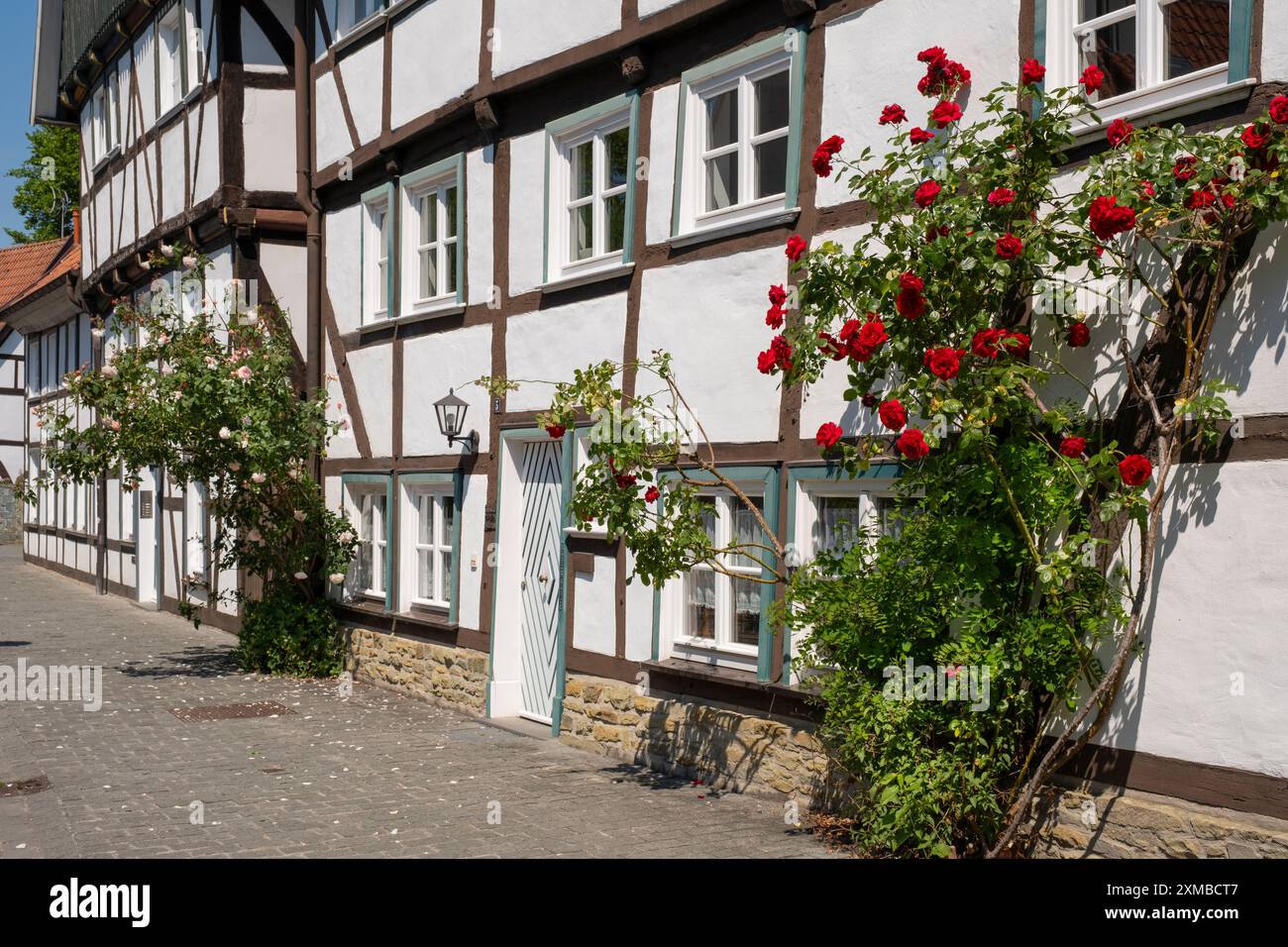 Rose di fronte a una casa con travi in legno a Soest Foto Stock