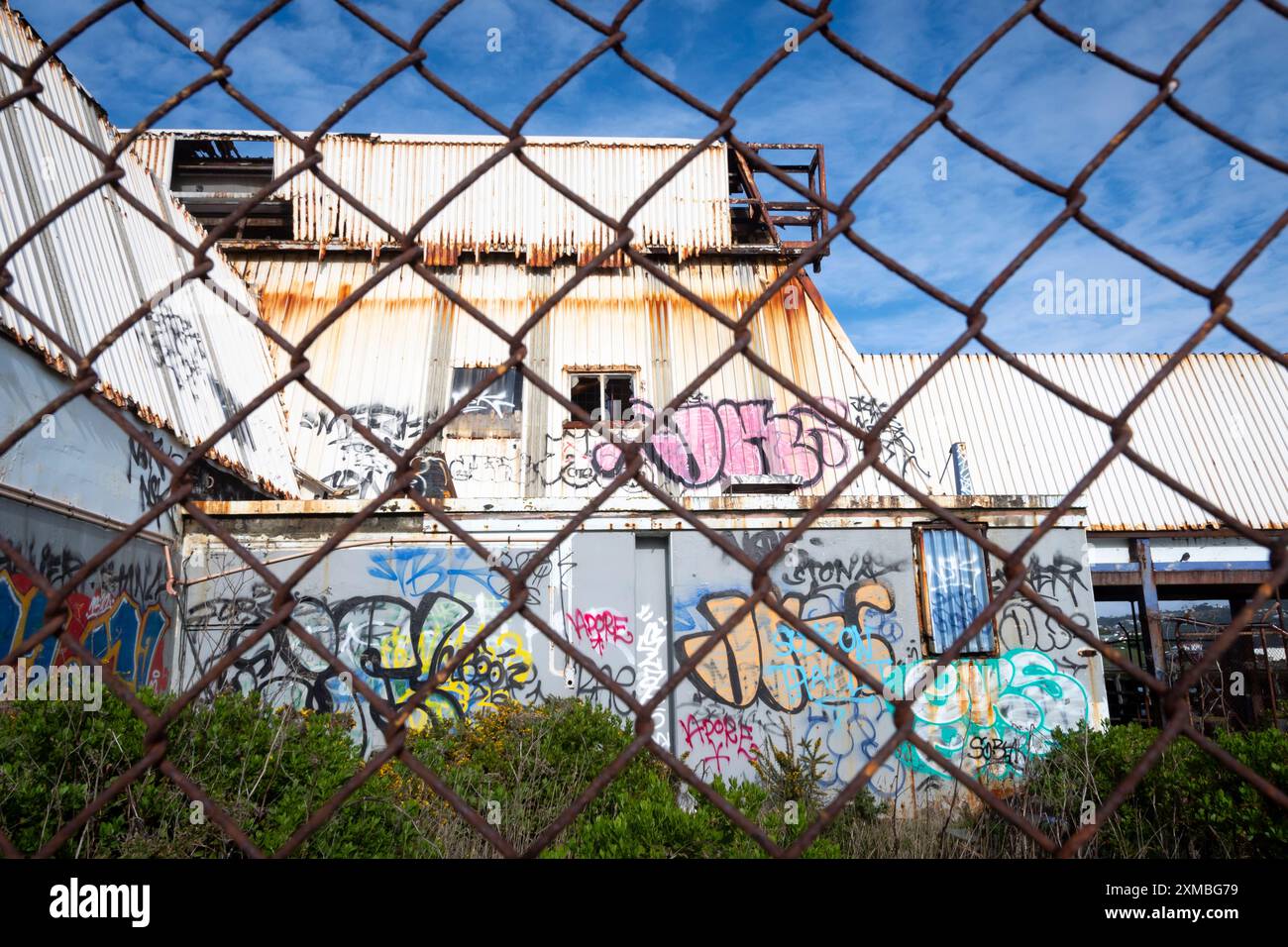 Edificio abbandonato, Miramar, Wellington, Isola del Nord, nuova Zelanda Foto Stock