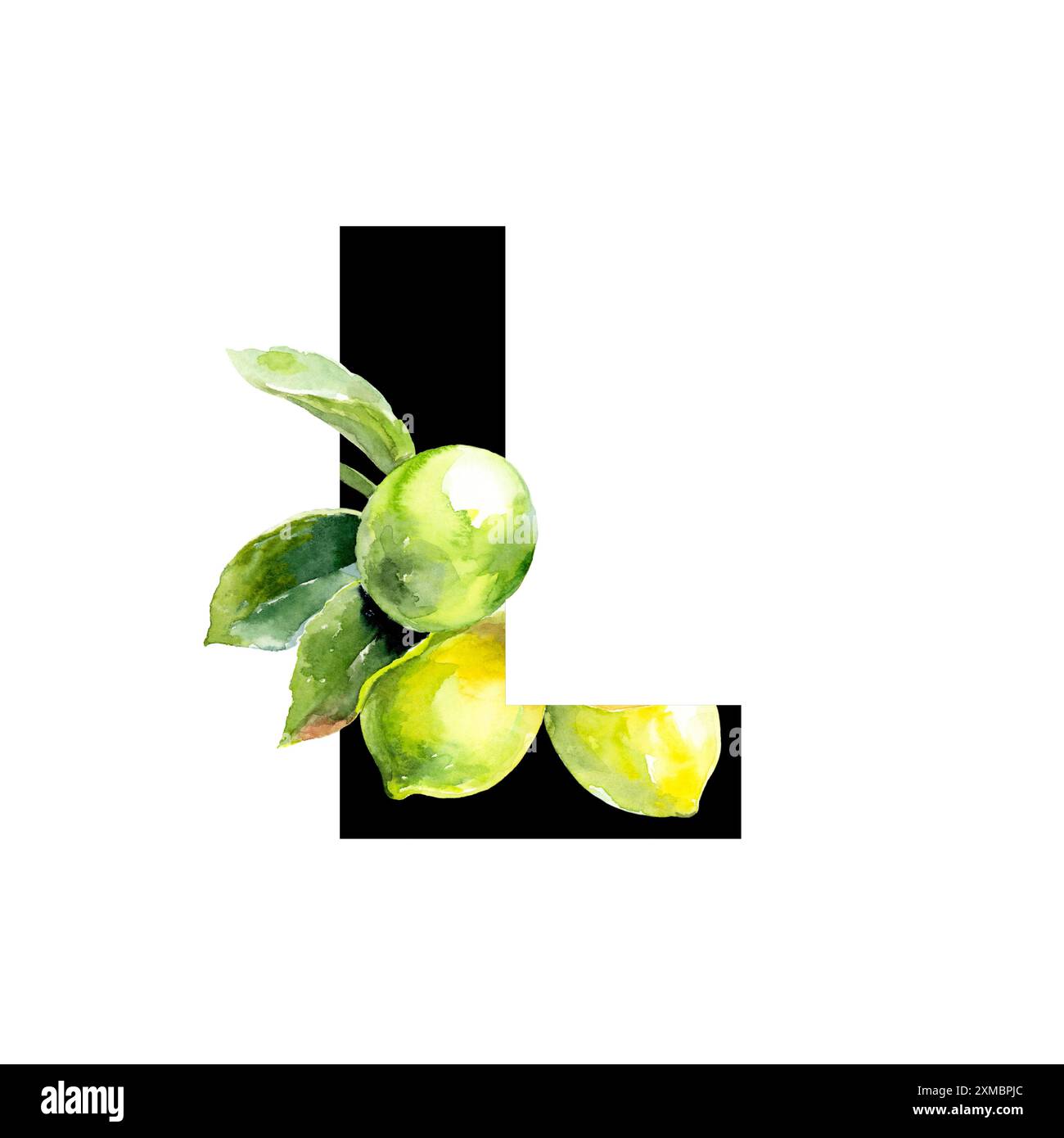 Illustrazione della lettera L circondata da limoni e foglie verdi in stile acquerello Foto Stock Illustrazione della lettera L circondata da limoni e foglie verdi in stile acquerello Foto Stock