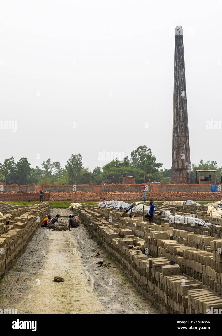 Camino di fabbrica di mattoni nella Sundarbans, divisione Sylhet, Bahubal, Bangladesh Foto Stock