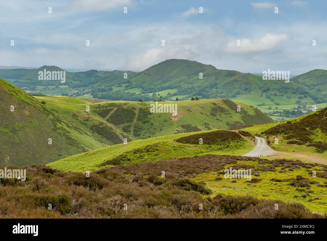 Bur Way View Point, Long Mynd, Shropshire, Inghilterra Foto Stock