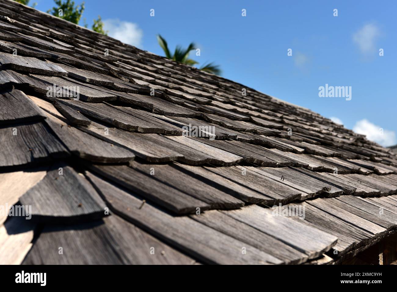 Tegole in legno intempestivo che formano un tetto Foto Stock