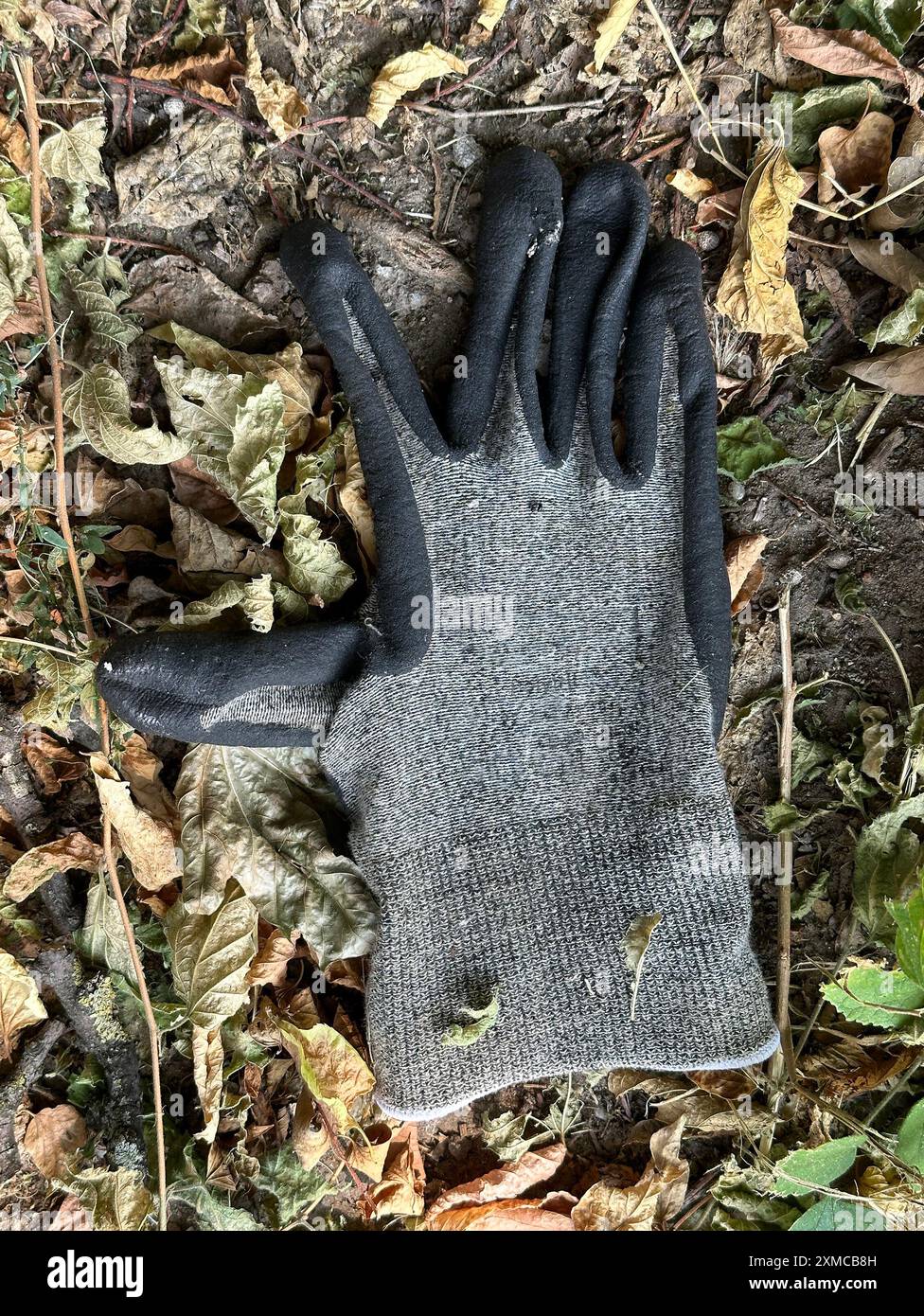 Glavi perduti a terra Foto Stock