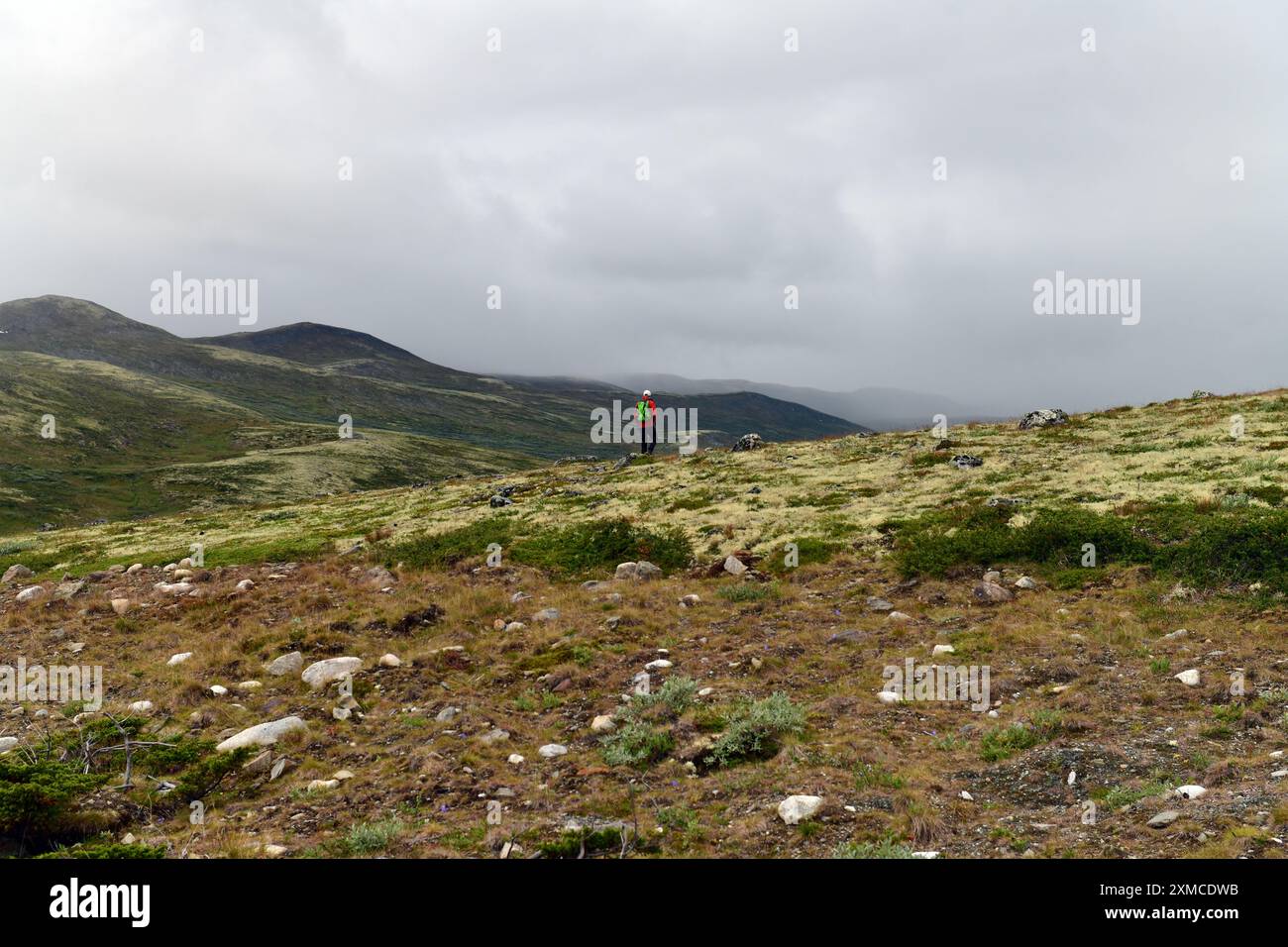 Un uomo in abiti colorati e zaino visto da dietro mentre fa escursioni a Dovrefjell, Norvegia. Foto Stock