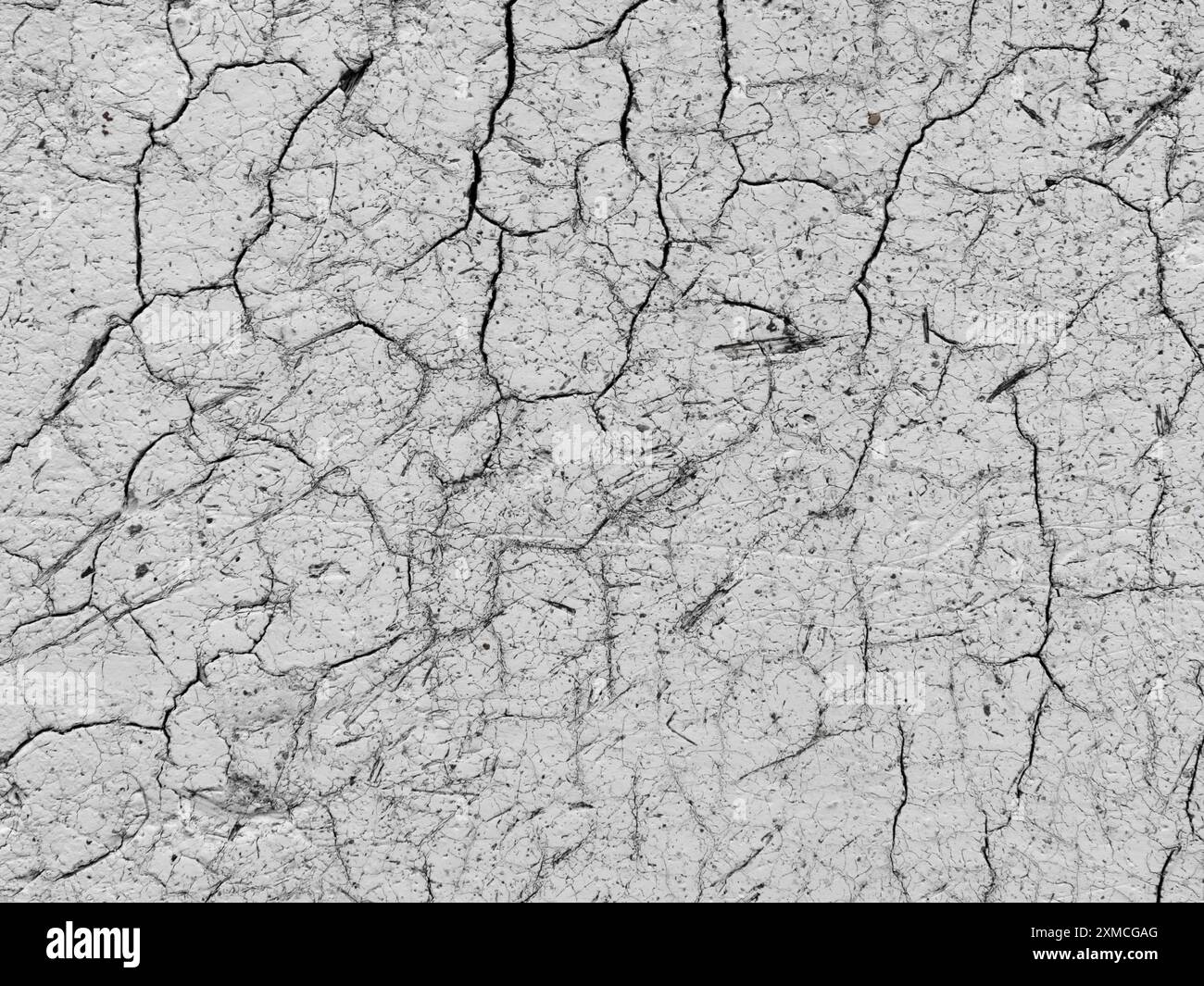 Superficie di terra secca e incrinata che rivela modelli di condizioni di siccità nel paesaggio rurale Foto Stock