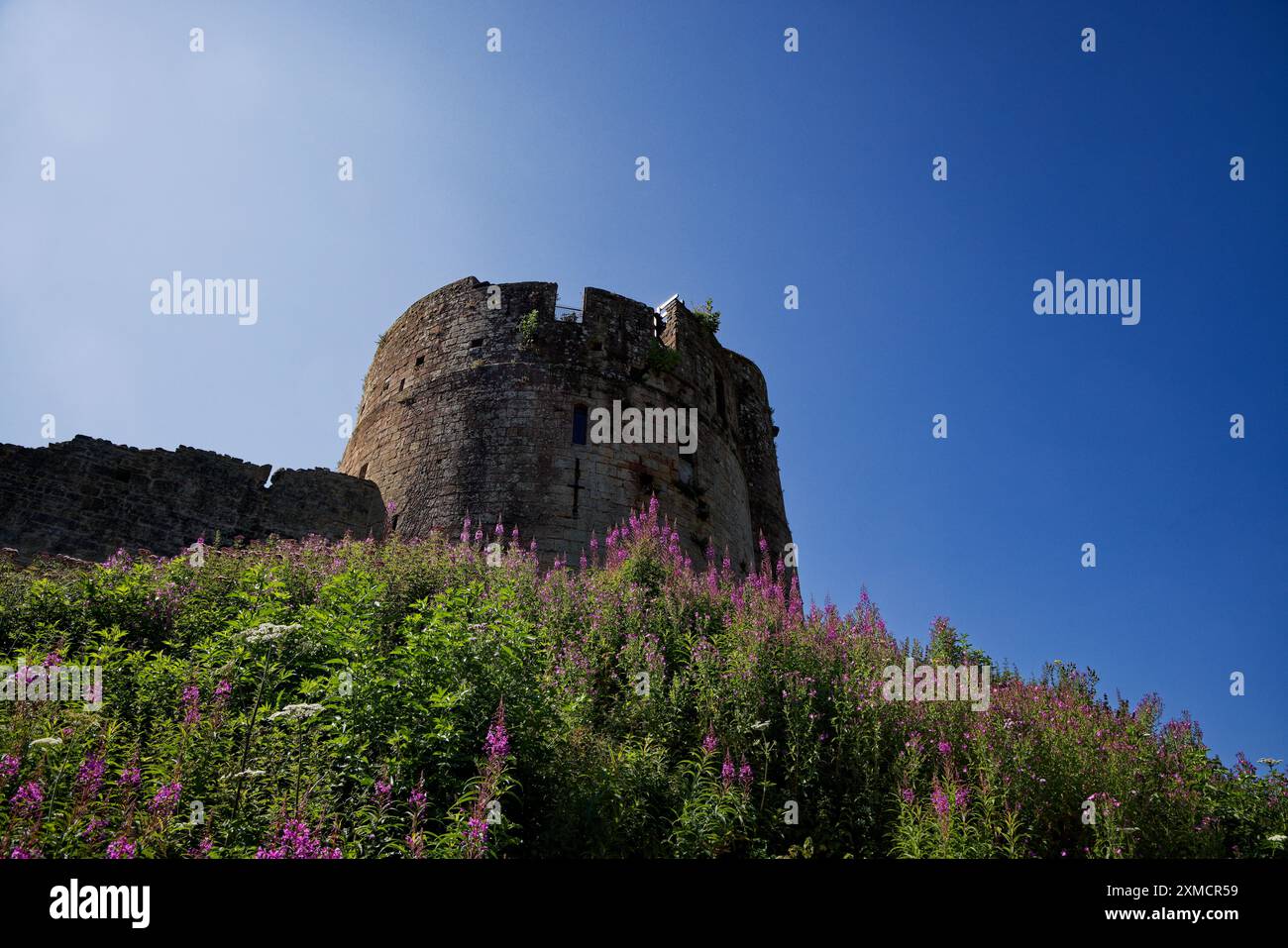 Il castello di Caldicott si crogiola al sole d'estate gallese Foto Stock