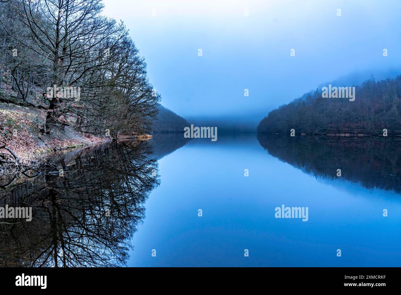 Lago Rursee nell'Eifel, bacino idrico, lago superiore, in inverno, nebbia, vicino a Heimbach, Renania settentrionale-Vestfalia, Germania Foto Stock