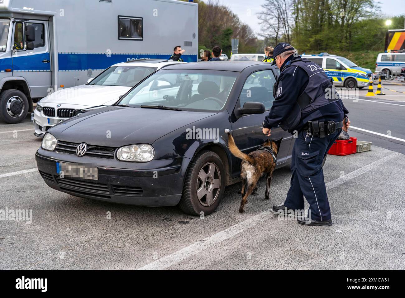 Cane da caccia alla dogana durante un controllo congiunto della polizia e della dogana sull'autostrada A3, verso Colonia, nell'area di servizio di Stindertal, concentratevi sul controllo Foto Stock