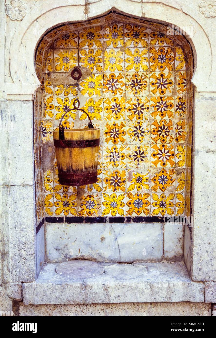 Ceramiche, Tunisi, Tunisia. Leone la zampa linea di piastrelle a Well-Nitch in una Casa Medina. Foto Stock