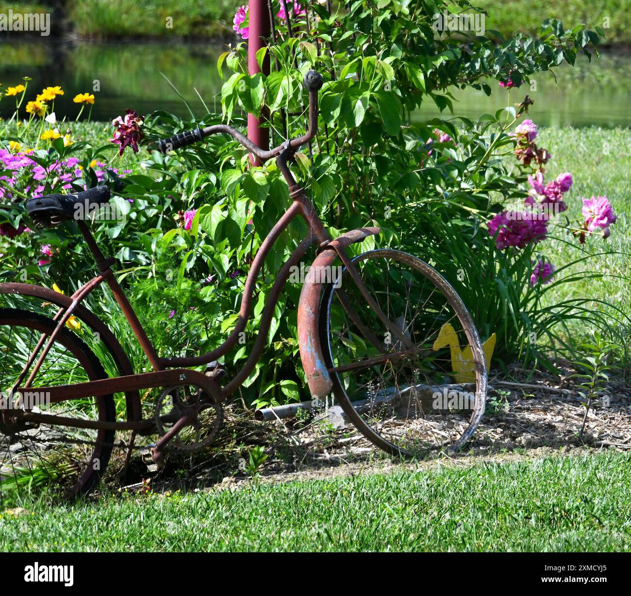 Una bicicletta d'epoca si appoggia su un palo rosso come parte del paesaggio. I fiori estivi fioriscono intorno alla bicicletta arrugginita. Foto Stock