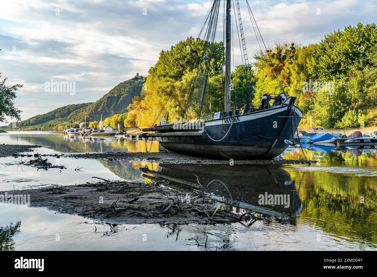 Il Reno in acque estremamente basse, vicino a Bad Honnef Rhoendorf, sotto i Drachenfels, la storica nave del Reno, Aalschokker Aranka, nel Vecchio Reno Foto Stock