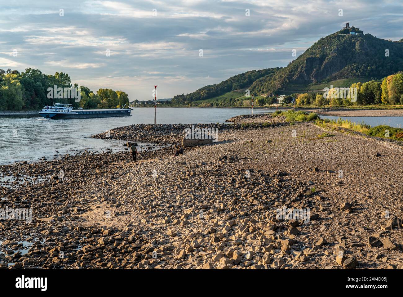 Il Reno in acque estremamente basse, nei pressi di Bad Honnef Rhoendorf, sotto i Drachenfels, l'isola di Nonnenwerth, le rive secche del Reno, le navi da carico, con molto Foto Stock