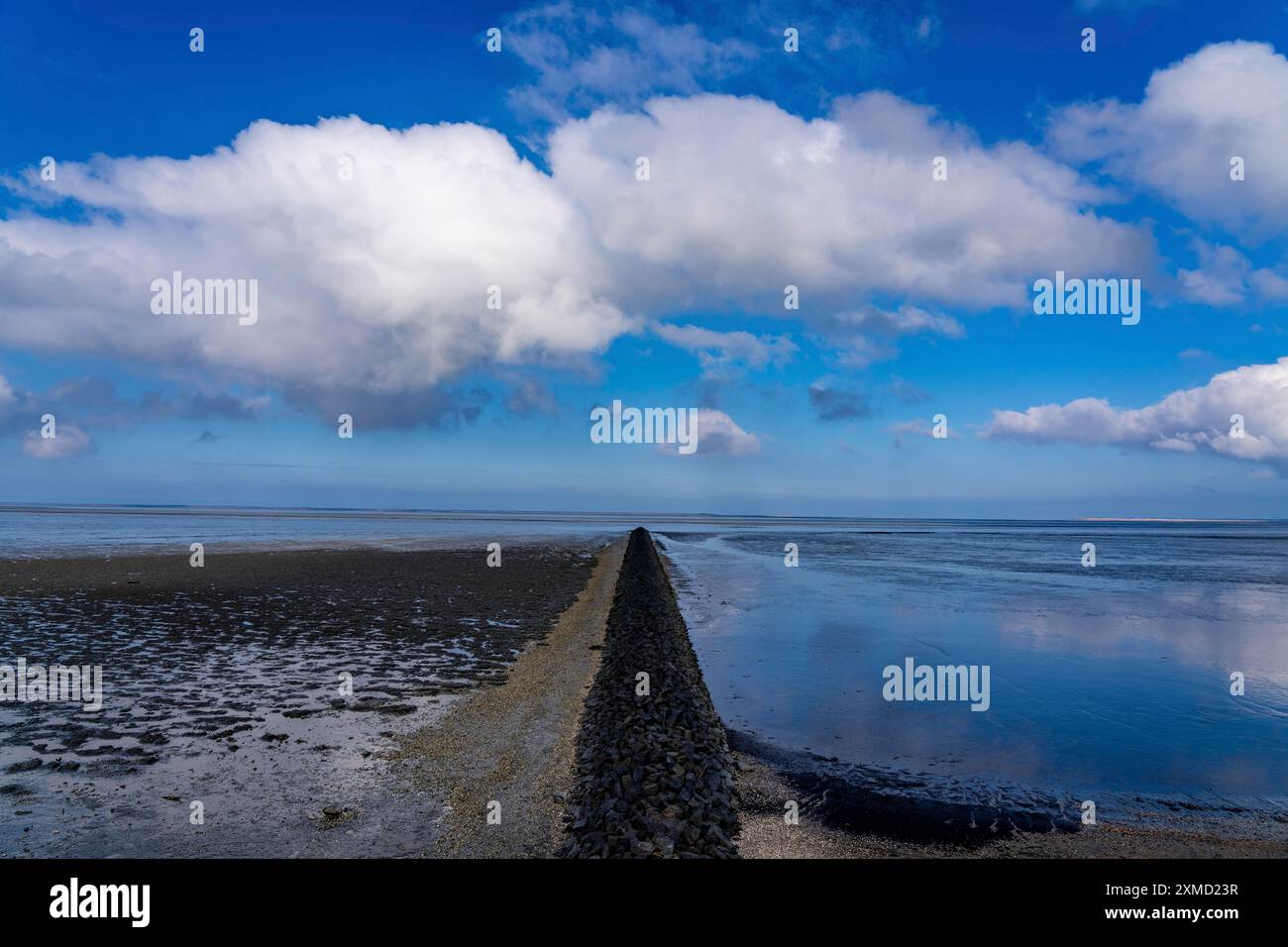 Il Mare dei Wadden, la Frisia orientale, tra Bensersiel e Neuharlingersiel, Breakwater dietro la diga, bassa Sassonia, Scalinate, Germania Foto Stock