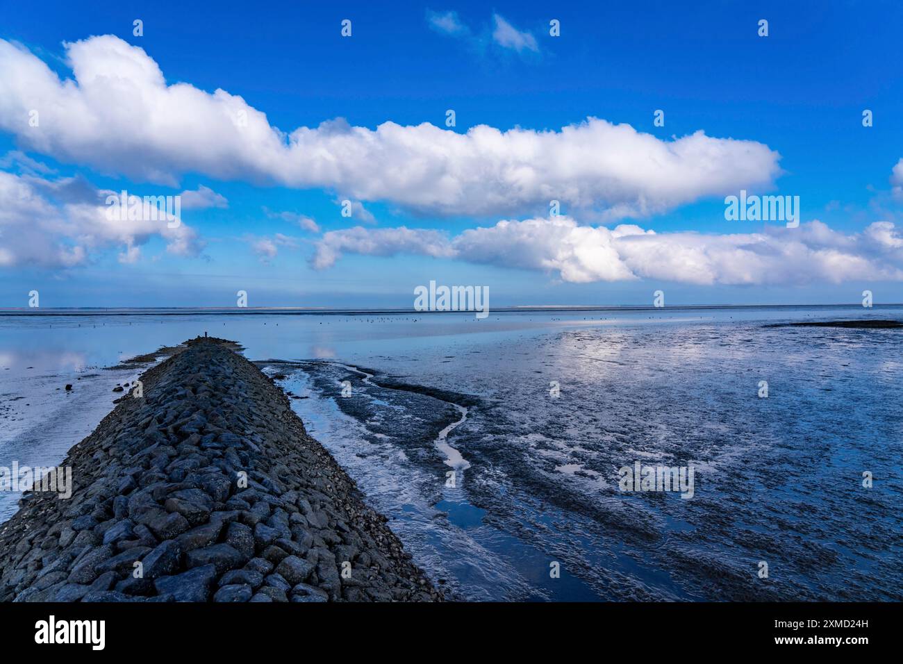 Il Mare dei Wadden, la Frisia orientale, tra Bensersiel e Neuharlingersiel, Breakwater dietro la diga, bassa Sassonia, Scalinate, Germania Foto Stock