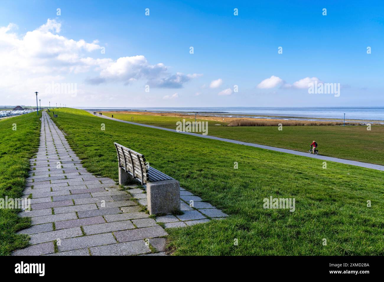 Diga del Mare del Nord, vicino a Neuharlingersiel, bassa Sassonia, Germania Foto Stock