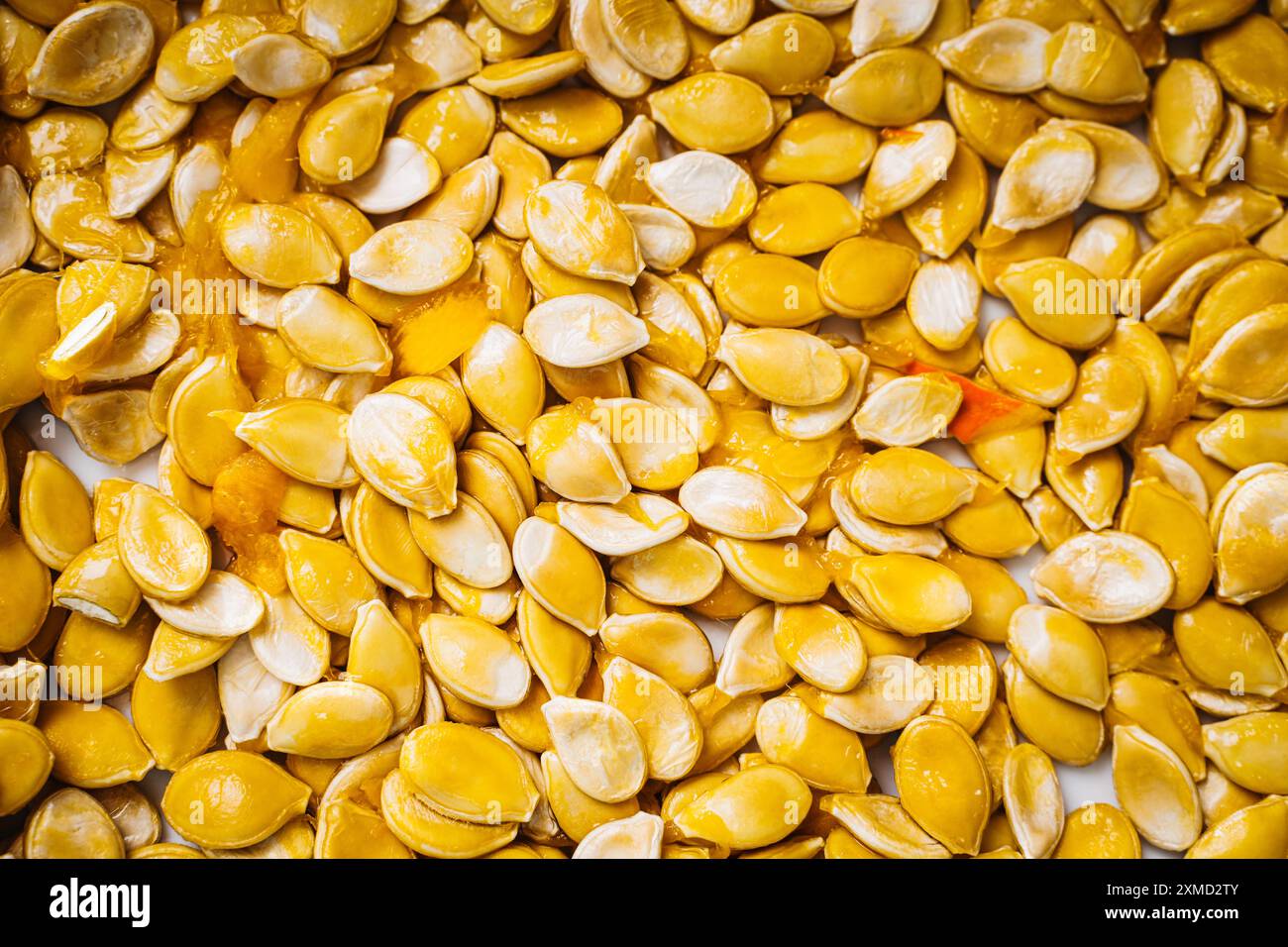 Semi di zucca, fondo di semi di zucca crudi. Messa a fuoco selezionata. Foto di alta qualità Foto Stock