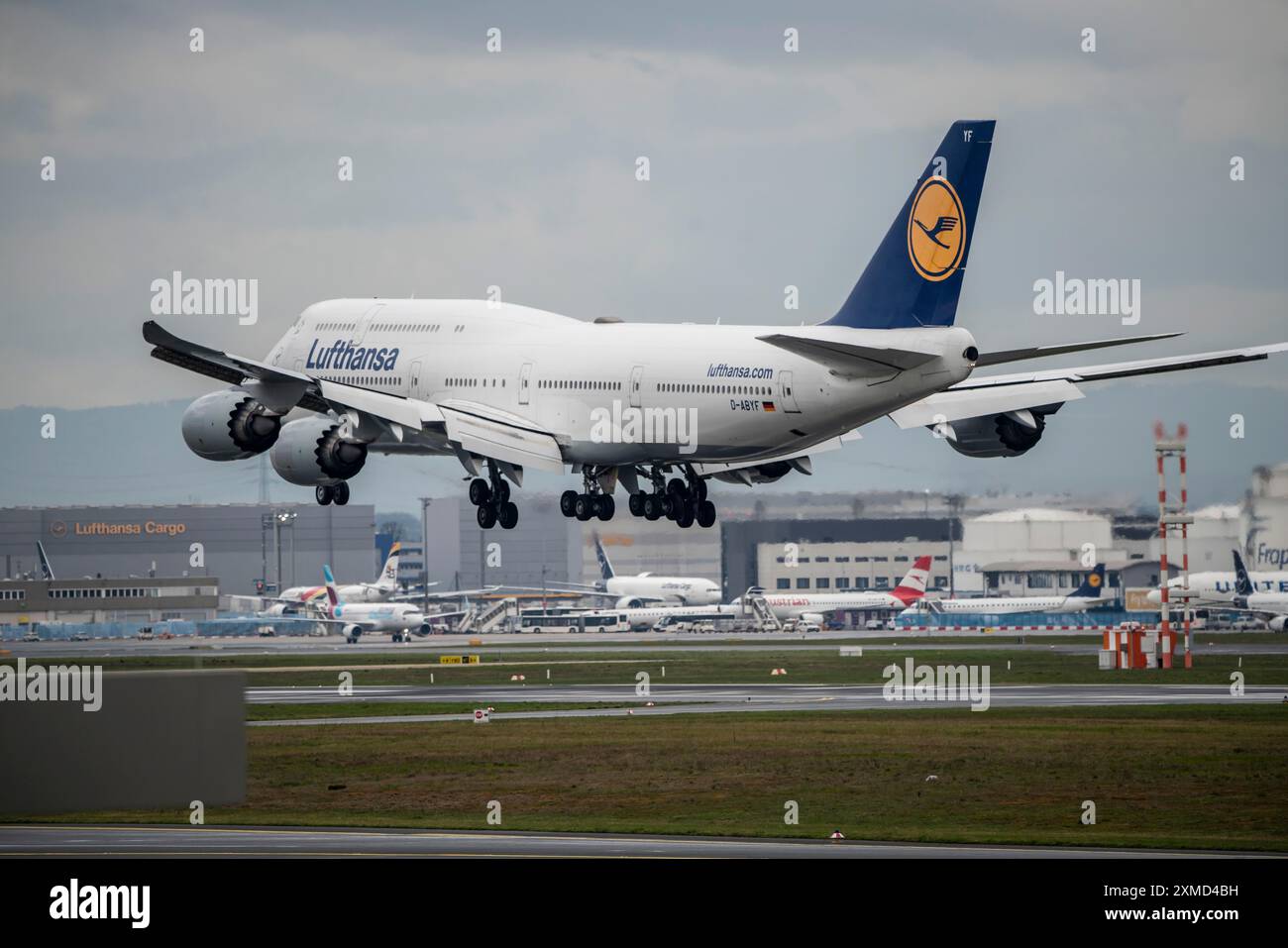 Lufthansa Boeing 747-830, D-ABYK, in avvicinamento all'aeroporto di Francoforte sul meno, deposito di rifornimento, carburante per aerei, fra, Assia, Germania Foto Stock