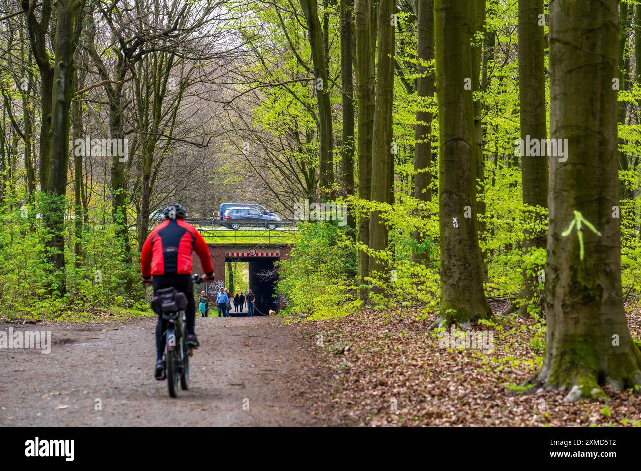 Lo Sterkrader Wald a Oberhausen, all'incrocio autostradale di Oberhausen, dove si incontrano le A2/A3A/A516, deve essere ampliato, con 11 ettari di foresta Foto Stock