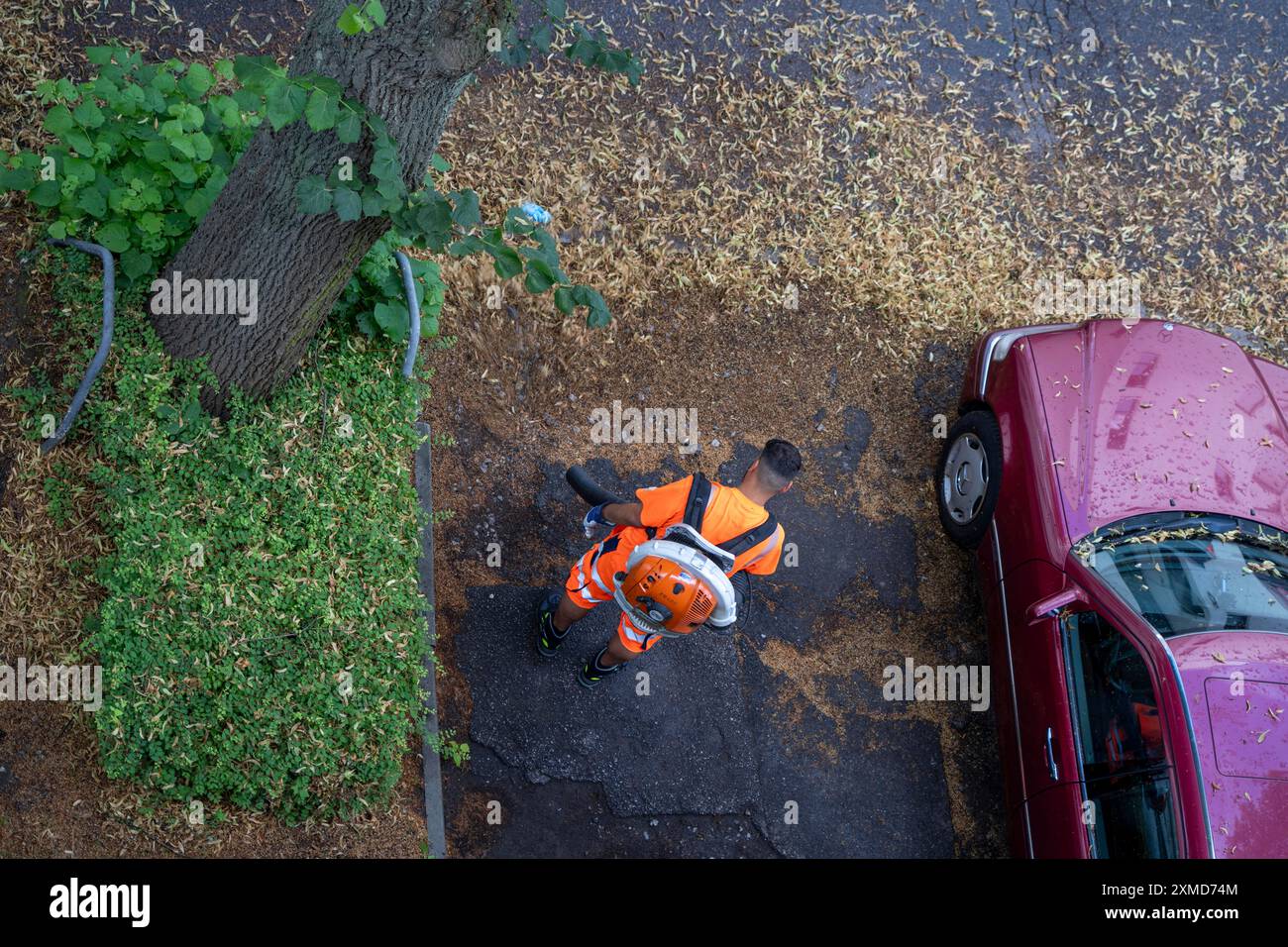 Pulizia stradale, dipendente del servizio municipale di pulizia della città, pulisce marciapiedi e parcheggi, con un soffiatore di foglie, in estate, dagli alberi Foto Stock