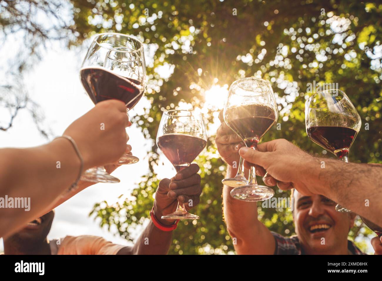 Un gruppo di amici che alleva bicchieri da vino contro alberi illuminati dal sole. Primo piano di brindare con vino rosso all'aperto, per celebrare, frien Foto Stock