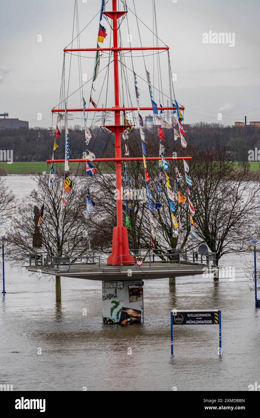 Inondazione del Reno nei pressi di Duisburg, del fiume nei pressi di Duisburg-Ruhrort, del Muehlenweide, completamente inondata, Renania settentrionale-Vestfalia, Germania Foto Stock