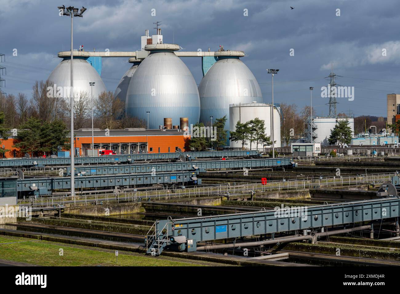 Digestori e chiarificatori secondari, impianto di trattamento delle acque reflue Emschergenossenschaft nel Weilheimer Mark a Bottrop, Renania settentrionale-Vestfalia Foto Stock