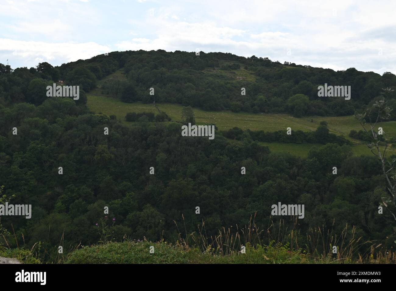 Paesaggio verde e nuvole Foto Stock
