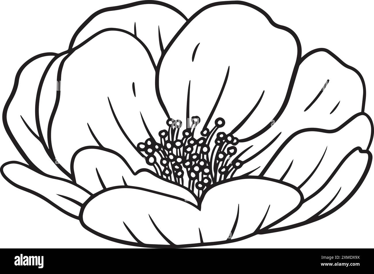 Rosidy Detailed Floral Lineart 22 Illustrazione Vettoriale
