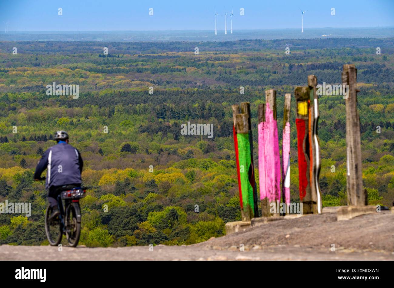 La punta di Haniel, alta 185 metri, nella miniera di Prosper Haniel, chiusa nel 2019, opera d'arte Totem dello scultore Augustin Ibarrola Foto Stock