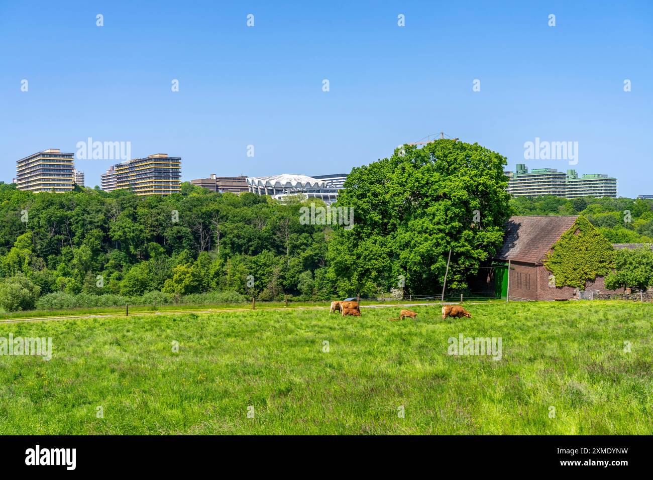 Vista sul Lottental, a sud di Bochum, sulla Ruhr University Bochum, fattoria, Renania settentrionale-Vestfalia, Germania Foto Stock