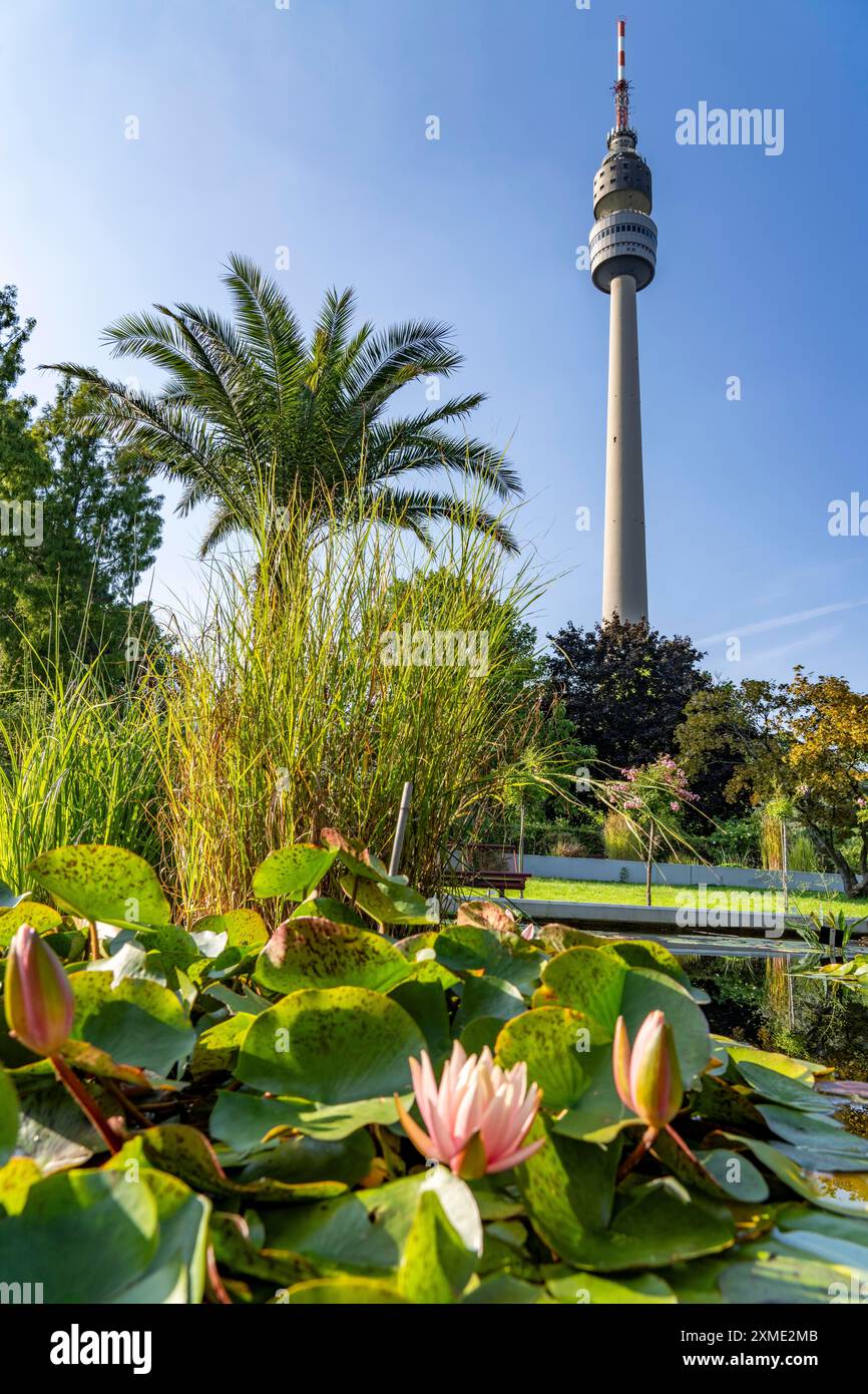 Westfalenpark, con 70 ettari, uno dei più grandi parchi cittadini d'Europa, bacino idrico, Florianturm, schermo televisivo alto 219 metri Foto Stock