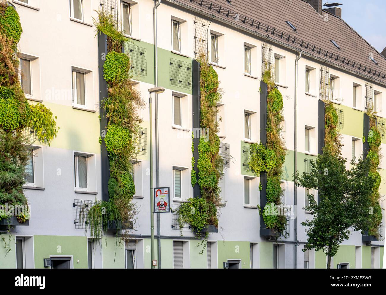 La facciata è ricoperta di verde su blocchi di appartamenti, in Gladbecker Strasse, B224, per filtrare gli ossidi di azoto e le particelle di polvere fine dall'aria, arrampicandosi sulle viti Foto Stock