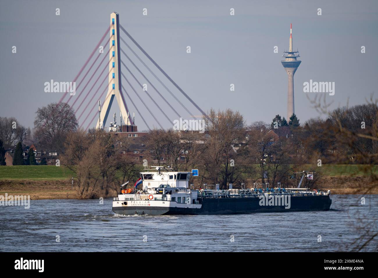 Nave da carico sul Reno vicino a Dormagen, sullo sfondo il ponte Fleher e la torre Rhine a Duesseldorf, Renania settentrionale-Vestfalia, Germania Foto Stock
