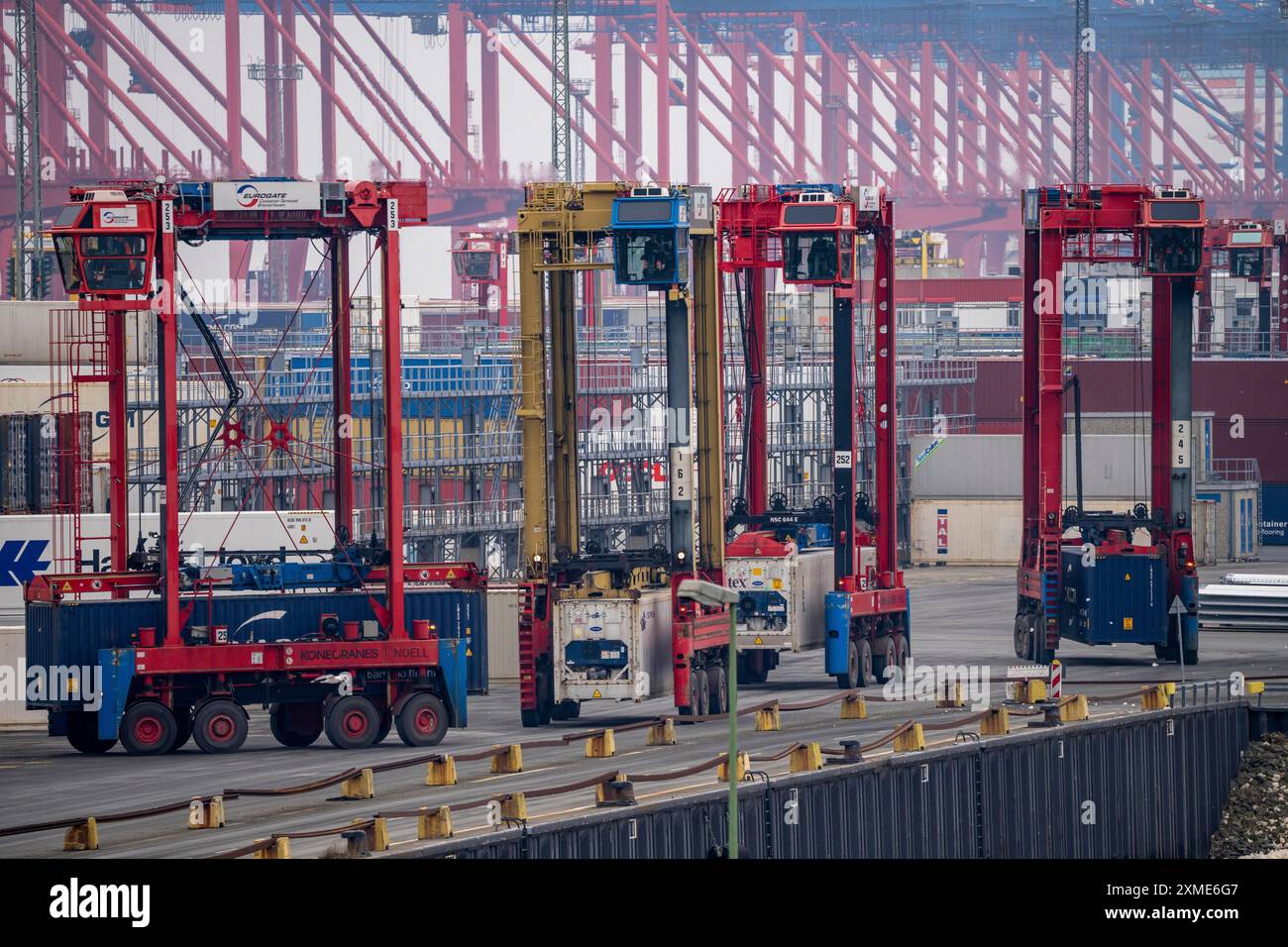 Terminal container nel porto marittimo di Bremerhaven, terminal container Eurogate con quasi 50 gru a cavalletto per container, gru, su una lunghezza di oltre 4 Foto Stock