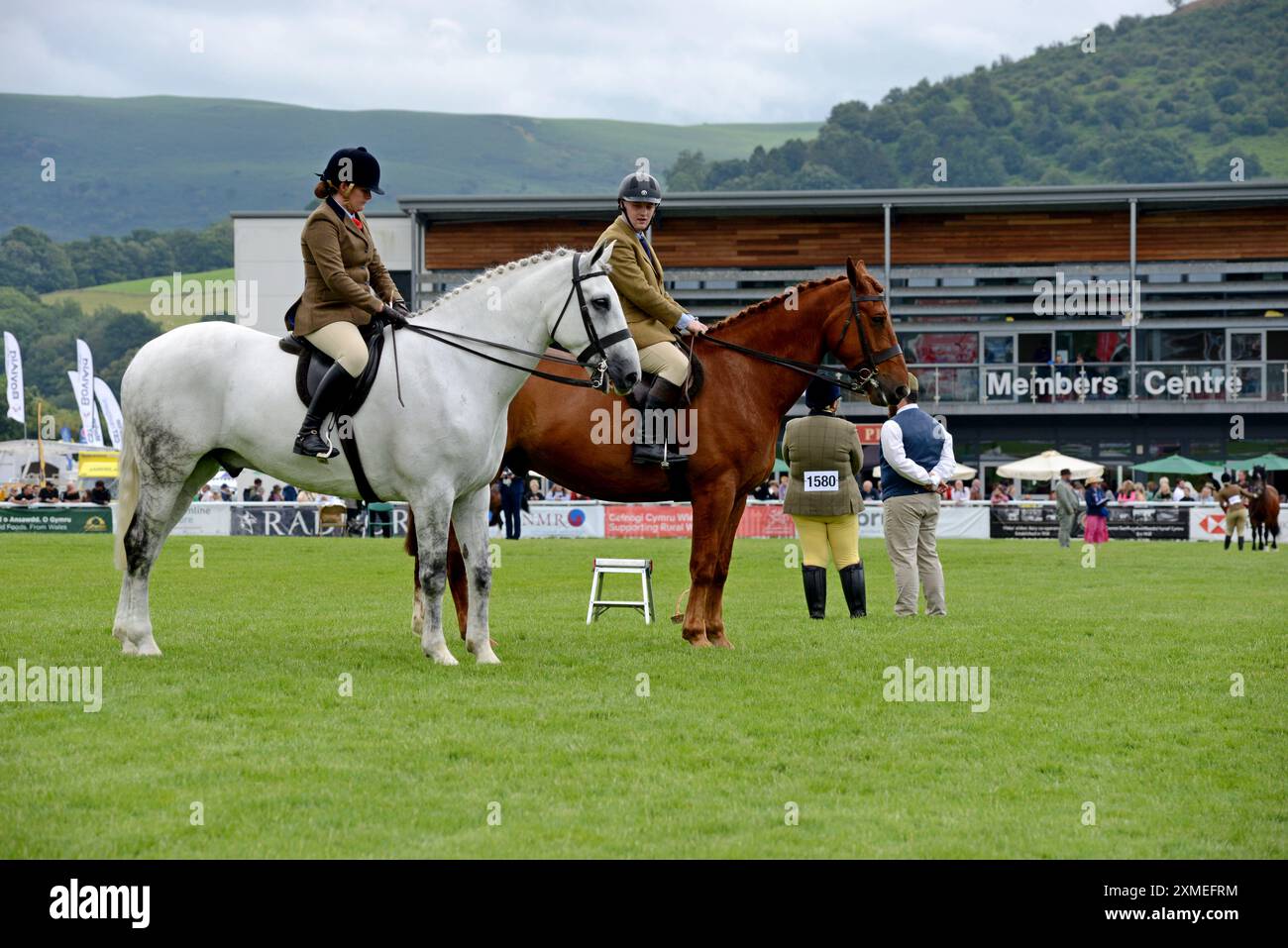Persone che competono in eventi equestri al Royal Welsh Show, Builth Wells, luglio 2024 Foto Stock