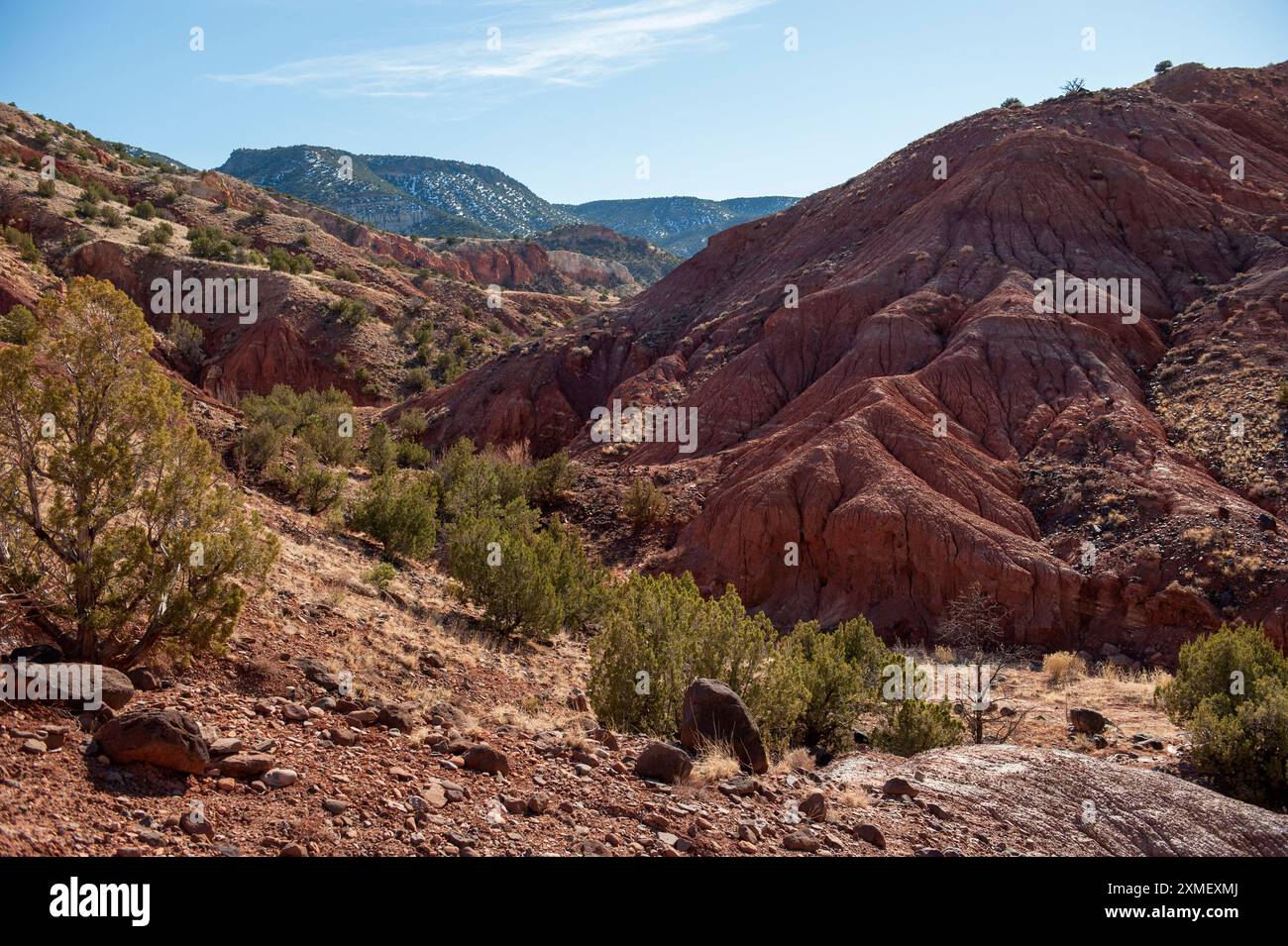 Un grande deposito di fango della formazione Chinle risalente al Triassico, risalente a circa 200 milioni di anni fa, vicino al Ghost Ranch del nuovo Messico. Foto Stock