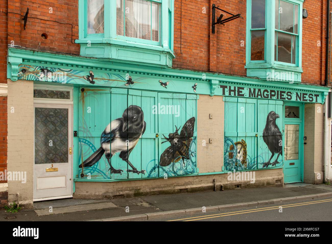 Magpies Street Art a Glastonbury, Somerset, Inghilterra Foto Stock