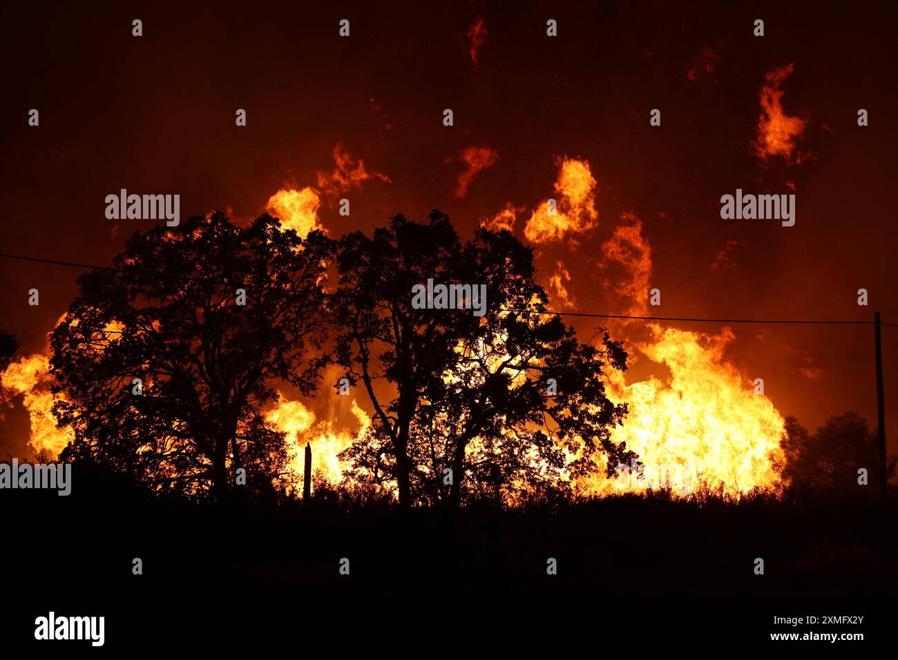 Le foto mostrano i vigili del fuoco che combattono contro le fiamme il 26 luglio 2024 in California, USA. Il più grande incendio attivo della California è esploso di dimensioni venerdì sera, crescendo rapidamente in mezzo al combustibile secco e minacciando migliaia di case mentre i vigili del fuoco si sono messi in difficoltà per affrontare il pericolo. L'intensità e la rapida diffusione del fuoco del Parco portarono i vigili del fuoco a fare confronti sgraditi con il mostruoso fuoco del campo, che bruciò fuori controllo nel vicino Paradise nel 2018, uccidendo 85 persone e bruciando 11.000 case. Più di 130 strutture sono state distrutte da questo incendio finora, e altre migliaia rimangono tre Foto Stock