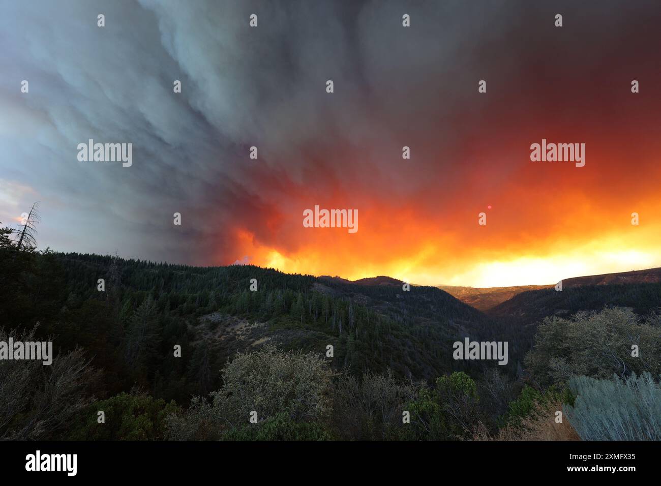 Le foto mostrano i vigili del fuoco che combattono contro le fiamme il 26 luglio 2024 in California, USA. Il più grande incendio attivo della California è esploso di dimensioni venerdì sera, crescendo rapidamente in mezzo al combustibile secco e minacciando migliaia di case mentre i vigili del fuoco si sono messi in difficoltà per affrontare il pericolo. L'intensità e la rapida diffusione del fuoco del Parco portarono i vigili del fuoco a fare confronti sgraditi con il mostruoso fuoco del campo, che bruciò fuori controllo nel vicino Paradise nel 2018, uccidendo 85 persone e bruciando 11.000 case. Più di 130 strutture sono state distrutte da questo incendio finora, e altre migliaia rimangono tre Foto Stock
