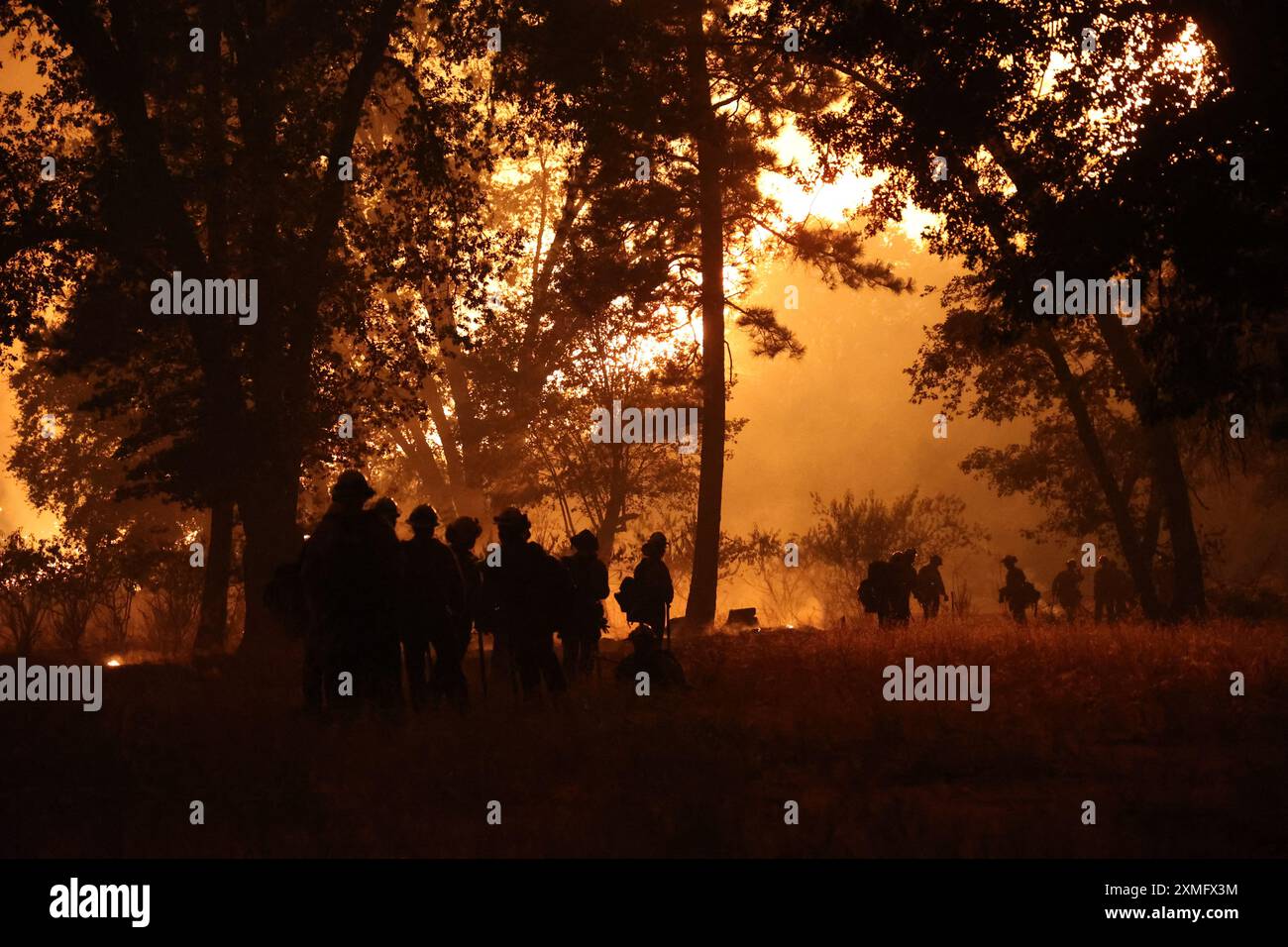 Le foto mostrano i vigili del fuoco che combattono contro le fiamme il 26 luglio 2024 in California, USA. Il più grande incendio attivo della California è esploso di dimensioni venerdì sera, crescendo rapidamente in mezzo al combustibile secco e minacciando migliaia di case mentre i vigili del fuoco si sono messi in difficoltà per affrontare il pericolo. L'intensità e la rapida diffusione del fuoco del Parco portarono i vigili del fuoco a fare confronti sgraditi con il mostruoso fuoco del campo, che bruciò fuori controllo nel vicino Paradise nel 2018, uccidendo 85 persone e bruciando 11.000 case. Più di 130 strutture sono state distrutte da questo incendio finora, e altre migliaia rimangono tre Foto Stock