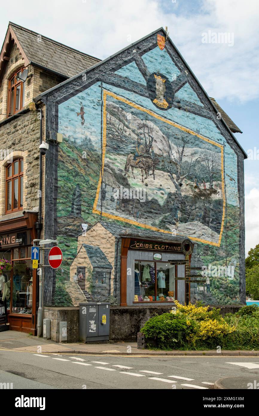 Street Art, Builth Wells, Powys, Galles Foto Stock