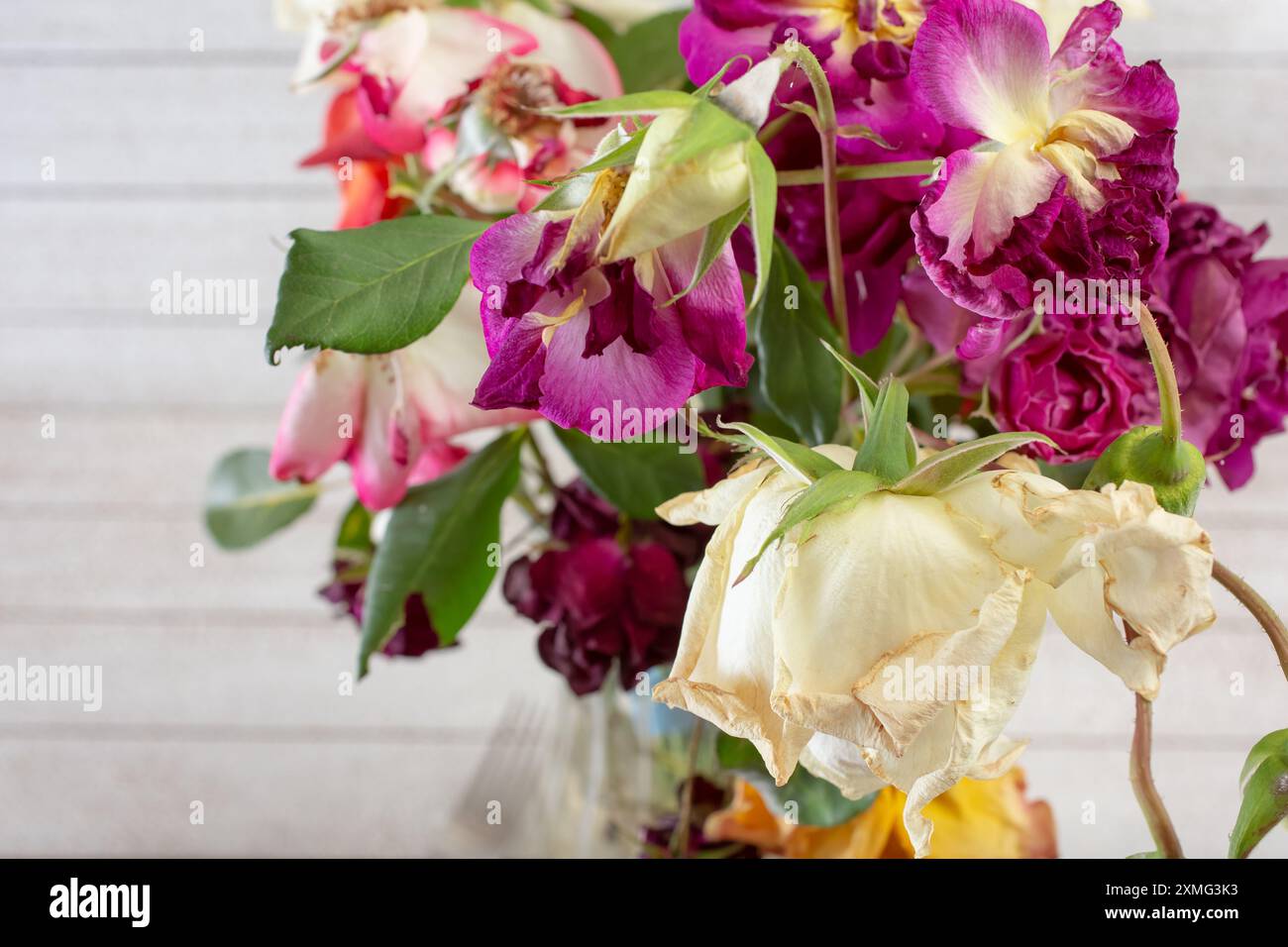 Vista di un bouquet di fiori morenti. Foto Stock