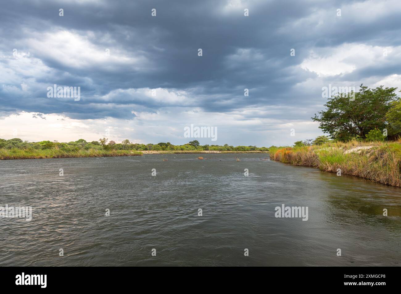 Paesaggio sulle rive del fiume Okavango nella Namibia settentrionale Foto Stock