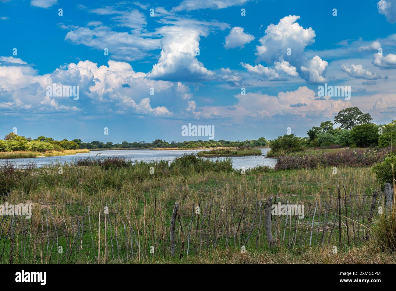 Paesaggio sulle rive del fiume Okavango nella Namibia settentrionale Foto Stock