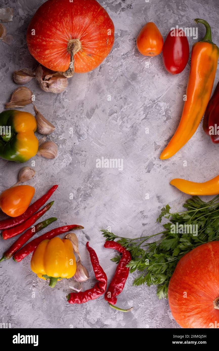 Disposizione di verdure autunnali, compresi peperoni e aglio, su uno sfondo rustico grigio Foto Stock