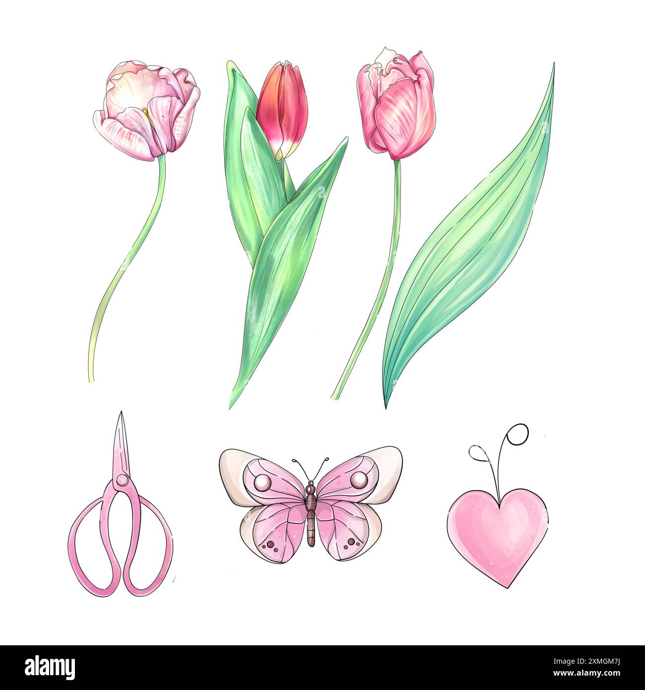 Clip art. Tulipani acquerelli. Romantici fiori primaverili. Farfalla dei cartoni animati. Illustrazione disegnata a mano Foto Stock